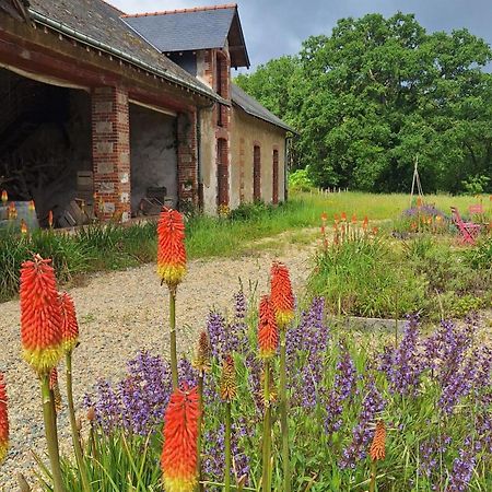 Ecolodges De Loire & Spa Gennes-Val-de-Loire Exteriör bild