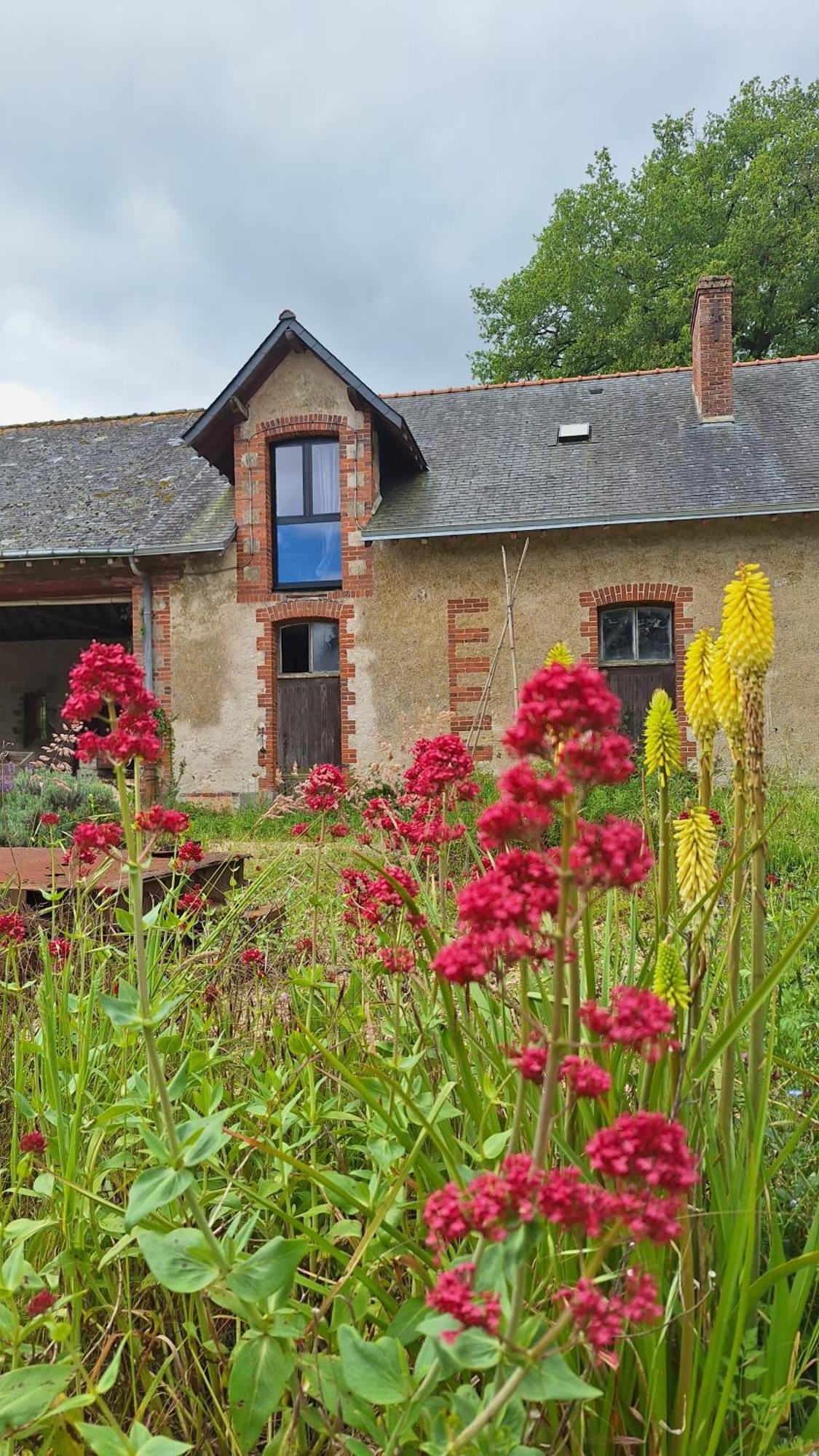 Ecolodges De Loire & Spa Gennes-Val-de-Loire Exteriör bild