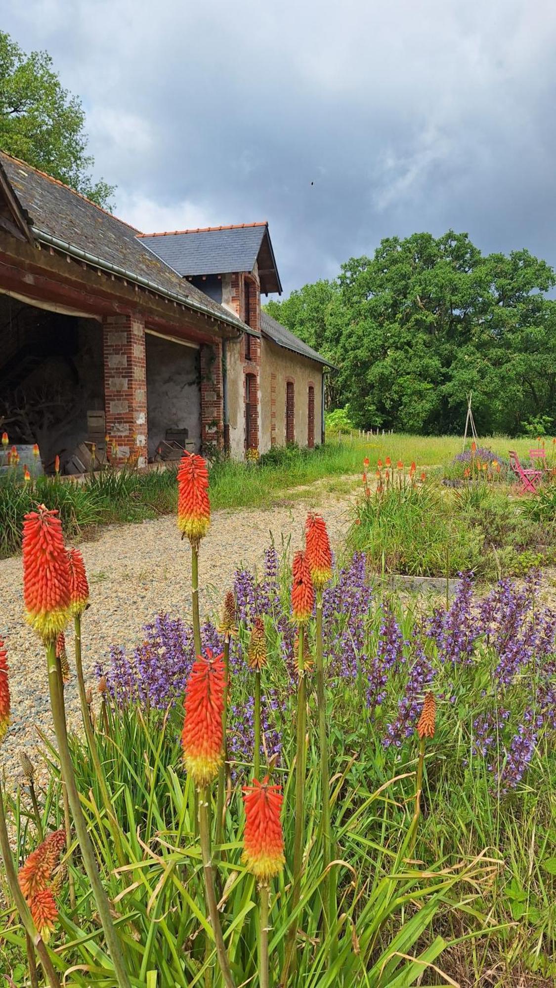 Ecolodges De Loire & Spa Gennes-Val-de-Loire Exteriör bild