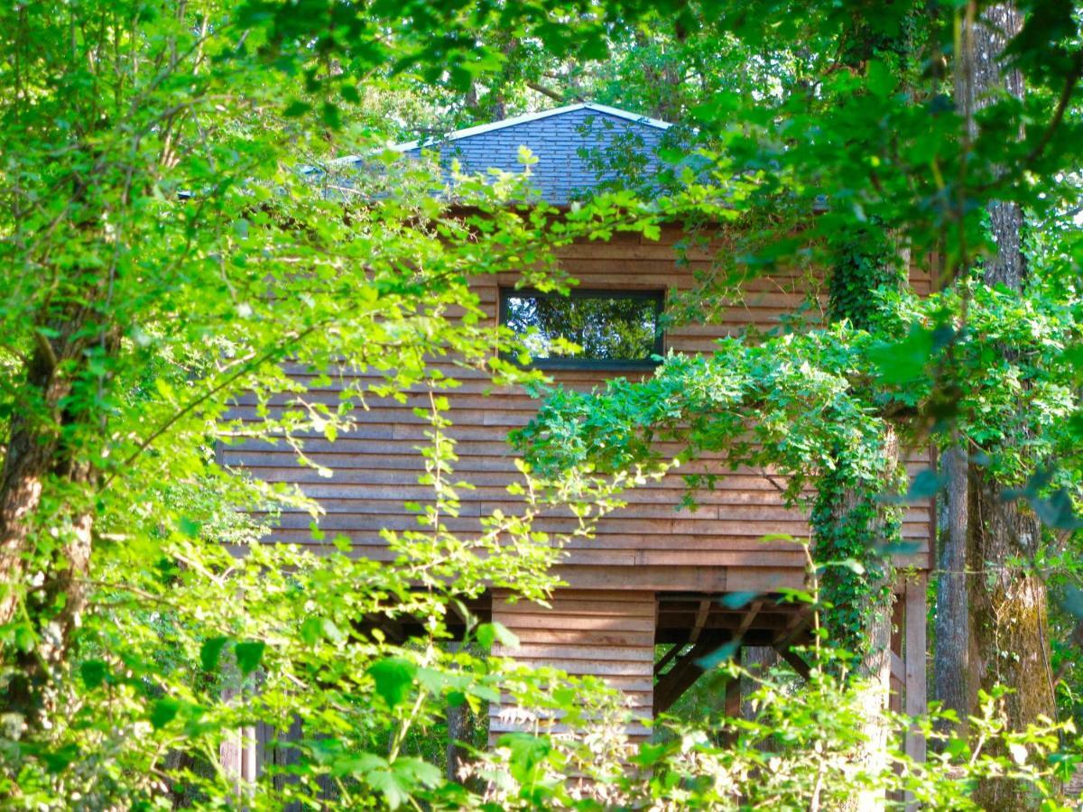 Ecolodges De Loire & Spa Gennes-Val-de-Loire Exteriör bild